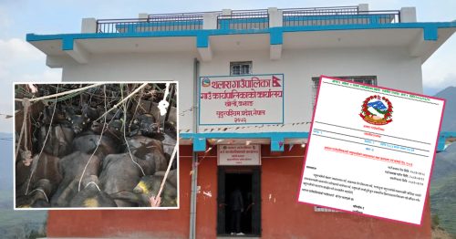 राष्ट्रिय कानुन नबन्दै स्थानीयमा तहमा : थलाराले बनायो पशु कल्याण ऐन