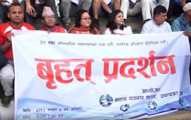 प्रेस स्वतन्त्रताको पक्षमा काठमाडौंमा पत्रकार महासंघको प्रदर्शन