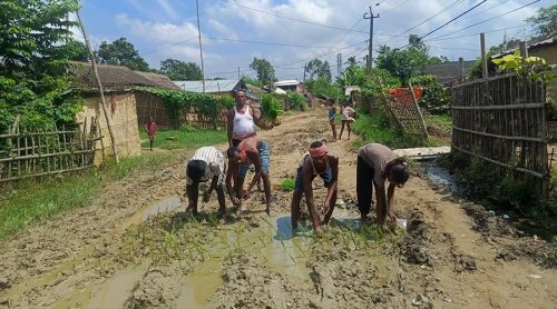 हिलाम्मे बनेपछि सडकमै धान रोपेर विरोध