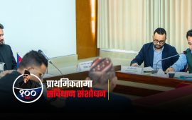 संविधान संशोधनमा उल्लेख्य काम, पर्याप्त शंका