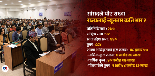 स्वकीय नियुक्तिको मापदण्ड बनाउँदै दलहरू