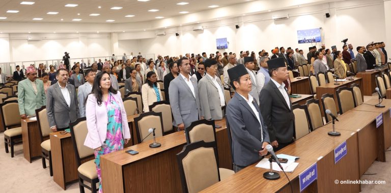 प्रतिनिधिसभा बैठक १५ मिनेटका लागि स्थगित