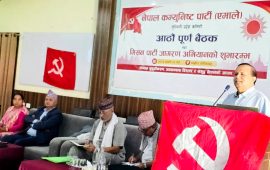 स्थानीय चुनावमा उम्मेदवार आफैँ छनौट गर्न तल्ला कमिटीलाई महासचिव पोखरेलको निर्देशन
