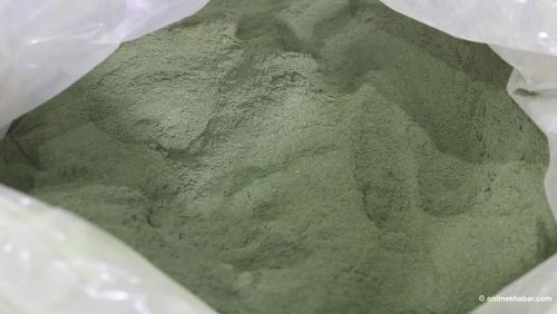 सिस्नो बन्यो आम्दानीको स्रोत