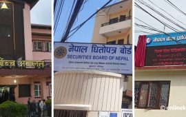 बीमा कम्पनीले प्रिमियम सेयर जारी गर्न नपाउने सर्वोच्चको आदेशले कस्तो गर्छ असर ?