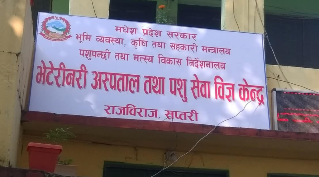 सप्तरीको भेटेरिनरी अस्पतालमा अख्तियारको छापा, कार्यालय प्रमुखसहित २ जना पक्राउ