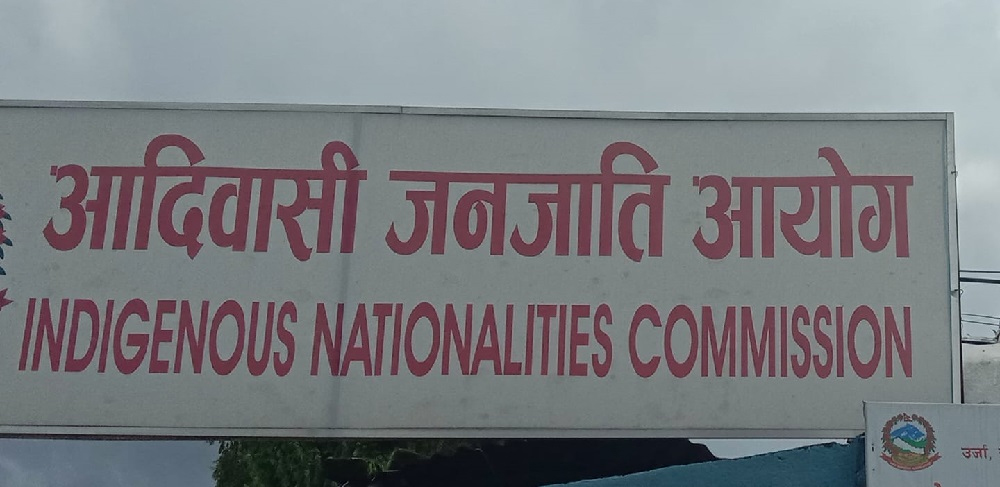 सार्वजनिक निकायमा आदिवासी जनजातिको प्रतिनिधित्व बढाउन सिफारिस