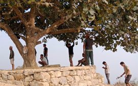 चौतारीसँगै हराउँदै बरपिपल : ओझेलमा गाउँको सभ्यता