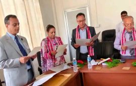 चिकित्सा शिक्षा आयोगको निर्देशकमा तीन जना नियुक्त, को-को हुन् ?