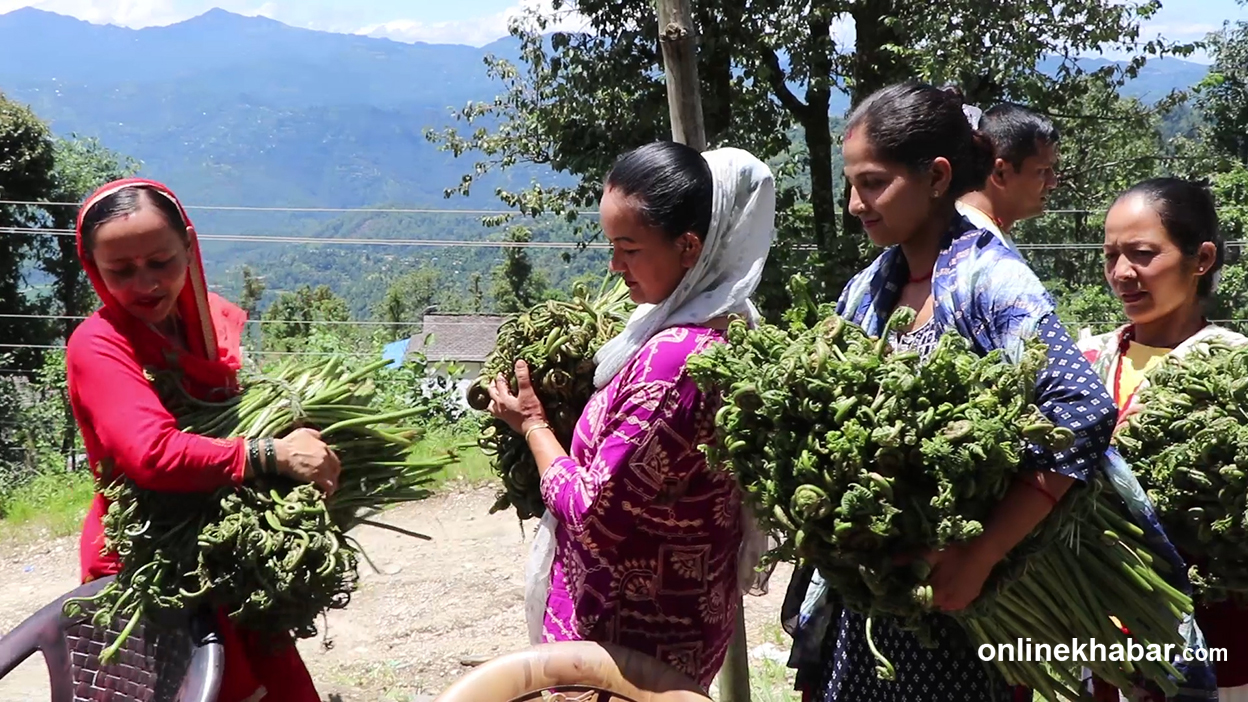मालिकाका महिलालाई निउरो र तामाको अचार बनाउने तालिम