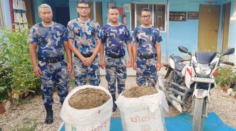 भारततर्फ लैजाँदै गरेको अवस्थामा सिरहाबाट ४९ किलो गाँजा बरामद