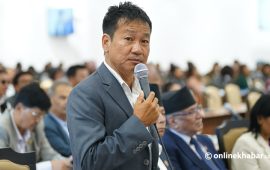 सभामुखलाई हर्क साम्पाङको प्रश्न- तपाईंलाई पनि नेपालले भारतको भूमि मिच्छ भन्ने लागेको हो ?