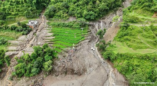 जाजरकोटको नलगाडमा पहिरोले १९ घरपरिवार प्रभावित