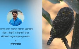 रात्रिकालीन चरा अवलोकन : निशाचारी पन्छी विज्ञानका लागि ऐतिहासिक विरासत