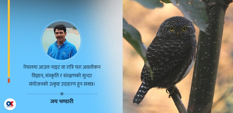 रात्रिकालीन चरा अवलोकन : निशाचारी पन्छी विज्ञानका लागि ऐतिहासिक विरासत