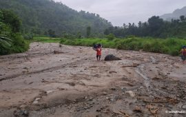 जालपाको धानखेत गेग्रानले पुरियो, किसान मर्कामा