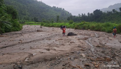 जालपाको धानखेत गेग्रानले पुरियो, किसान मर्कामा