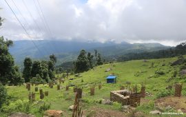 प्रकृति, संस्कृति र समृद्धिलाई जोड्दै लालीगुराँस पदमार्ग (तस्वीरहरू)