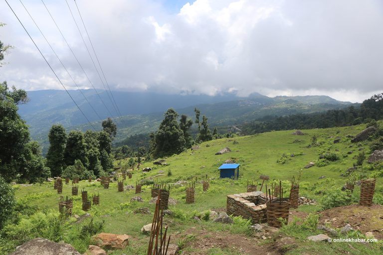 प्रकृति, संस्कृति र समृद्धिलाई जोड्दै लालीगुराँस पदमार्ग (तस्वीरहरू)