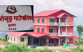 माङसेबुङका ११ विद्यालयमा लिम्बू र वान्तवा भाषा अनिवार्य