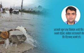 अबको विकास : संरचना थप्ने कि सेवा सुधार्ने ?