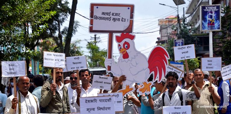बिचौलियाको जालो तोड्न माग गर्दै पोल्ट्री व्यवसायीको प्रदर्शन (तस्वीरहरू)