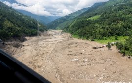 गोरखामा आठ शव फेला