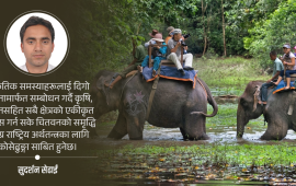 एकीकृत विकास कुरिरहेको पूर्वी चितवन