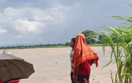 सुस्तामा बाँध भत्किँदा २० बिघाको बाली क्षति, थारू टोल जोखिममा