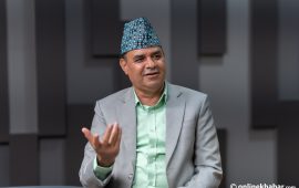 ‘सरकारको काम गर्ने ढंग पुगेन, नियत ठिकै छ’