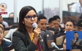नागरिकलाई सिंहदरबार प्रवेशमा कडाइ गरिएको भन्दै सांसद संग्रौलाको आपत्ति