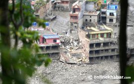 पीडीएनए प्रारम्भिक नतिजा : रसुवा बाढीले निजी सम्पत्ति र व्यवसायमा ७९ अर्बको क्षति