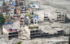 बट्टार र त्रिशूली बजारमा विद्युत् सेवा पुन: सुरु