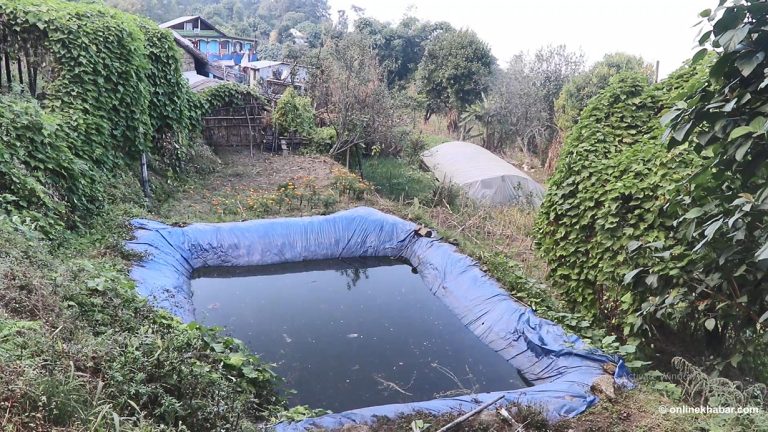 हिउँदेमा सिँचाइका लागि बर्सादको पानी संकलन