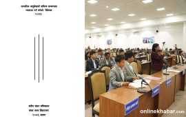 आन्तरिक वायुसेवाको दायित्व विधेयकमा १५ जना सांसदले राखे संशोधन प्रस्ताव
