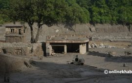 पशु उद्धारका लागि २४ घण्टे हटलाइन सेवा सञ्चालनमा