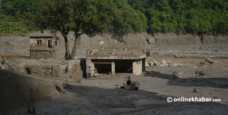 पशु उद्धारका लागि २४ घण्टे हटलाइन सेवा सञ्चालनमा