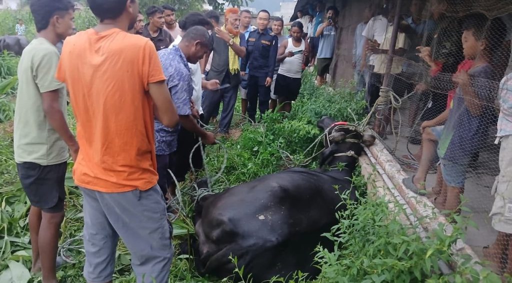 तिमीले गल्ती गर्‍यौ, मान्छेको कोखमा जन्म नलिएर