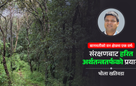 बागमतीमा वन संरक्षणपछि सदुपयोगको बहस