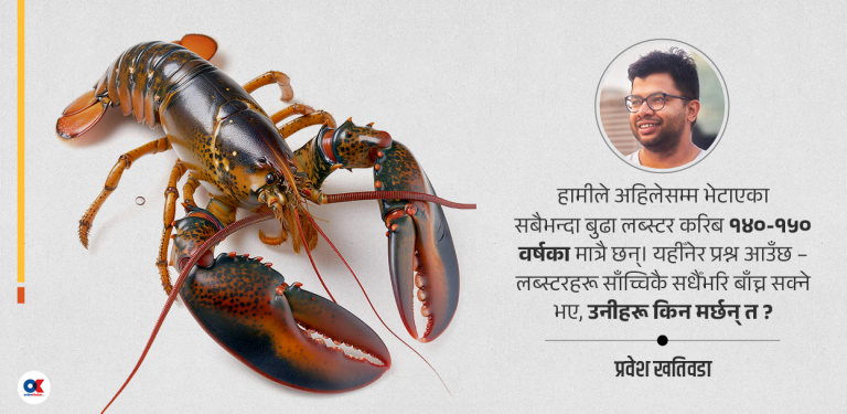 लब्स्टर बुढो हुँदैन, थकाइले मर्छ : मृत्युसँग बहुकोषीय जीवहरूले गरेको सम्झौता