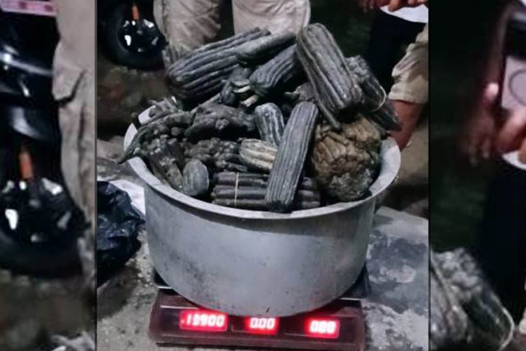 कञ्चनपुरमा १३ किलो चरेशसहित २ जना पक्राउ