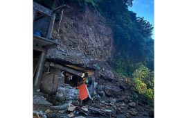 दार्चुलामा पहिरो, ३ जना घाइते