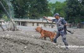 बाढीपछिको संकट : शव भेटिँदै गए, राख्ने ठाउँ छैन