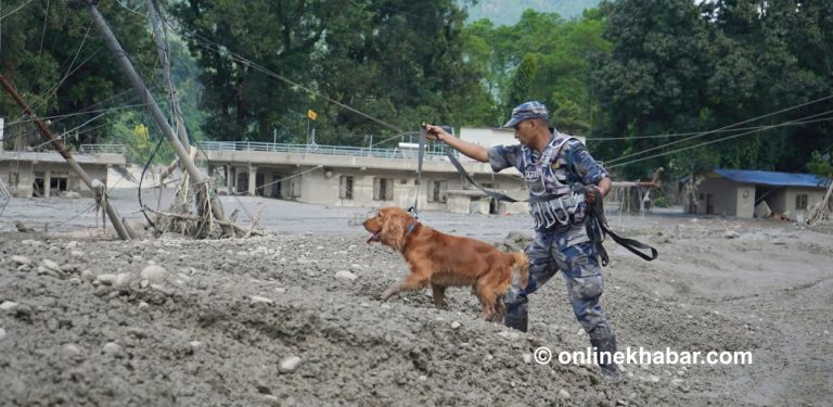 बाढीपछिको संकट : शव भेटिँदै गए, राख्ने ठाउँ छैन
