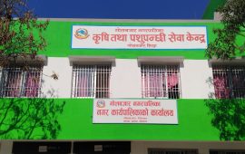 १२ वर्षपछि गाउँ ब्लक जग्गा दर्ता खुल्यो
