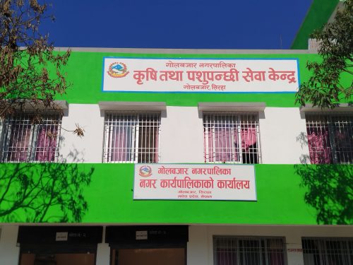 गोलबजार नगरपालिकाद्वारा रसुवा बाढीपीडितका लागि ५ लाख ५५ हजार सहयोग