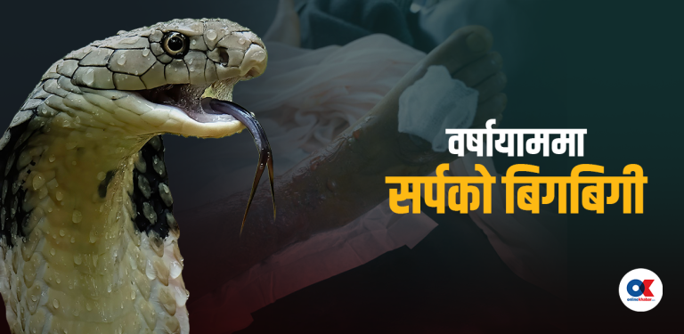 अस्पतालमा एन्टिस्नेक भेनमको हाहाकार, सर्पले डसेका बिरामी भारततिर