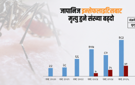 जेईको ‘डेथ रेट’ भयावह : संक्रमित ४ मध्ये १ जनाको मृत्यु