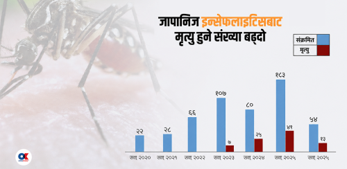 जेईको ‘डेथ रेट’ भयावह : संक्रमित ४ मध्ये १ जनाको मृत्यु