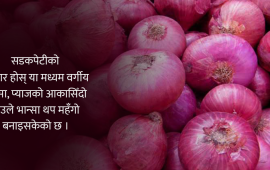 प्याजको भाउ किलोकै सय पार, किन बढिरहेछ बारम्बार ?